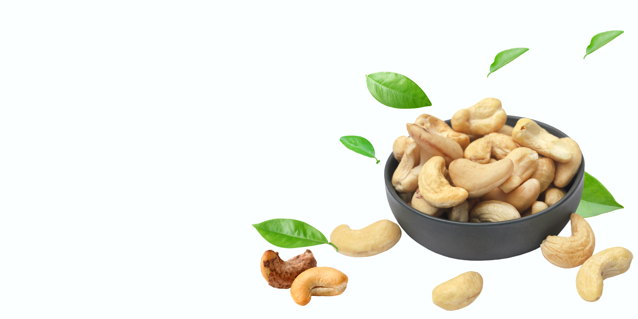 Các loại hạt